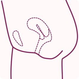 Etapa de preparação para identificação ou inserção do coletor menstrual - passo 3